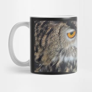 Eagle's Eye Mug